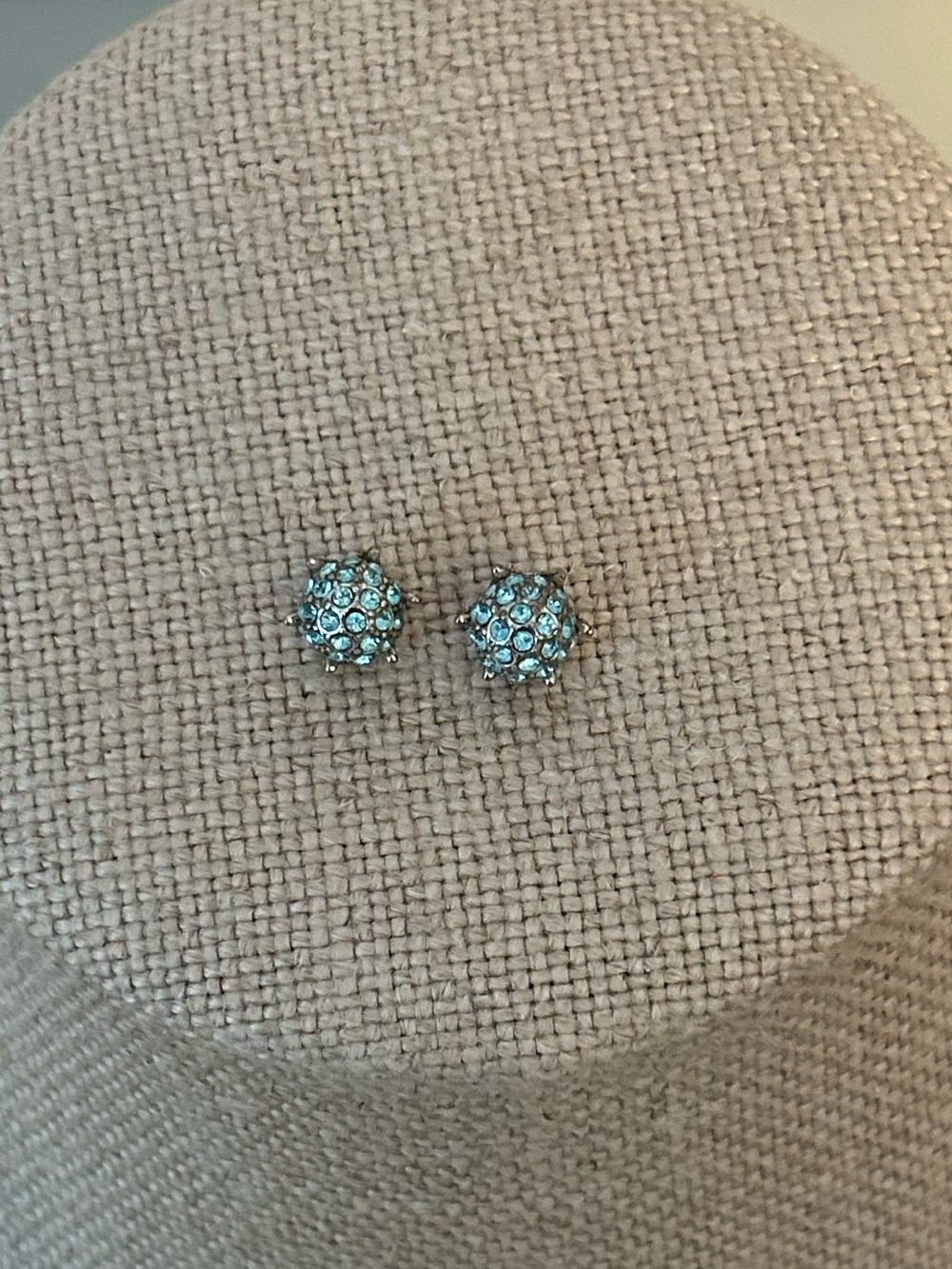 Beautiful Brighton Paloma Earrings earrings